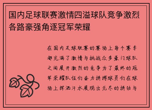 国内足球联赛激情四溢球队竞争激烈各路豪强角逐冠军荣耀